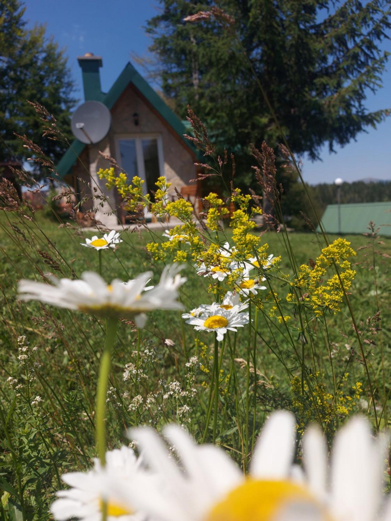 Durmitor Bungalows Žabljak Eksteriør bilde