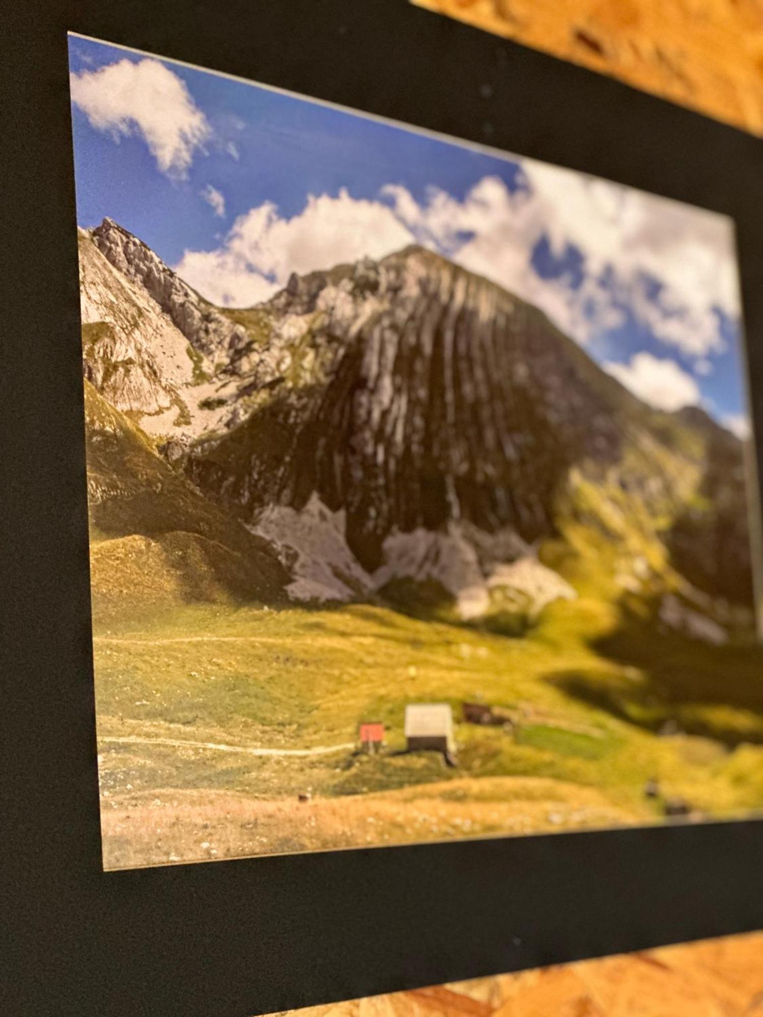 Durmitor Bungalows Žabljak Eksteriør bilde