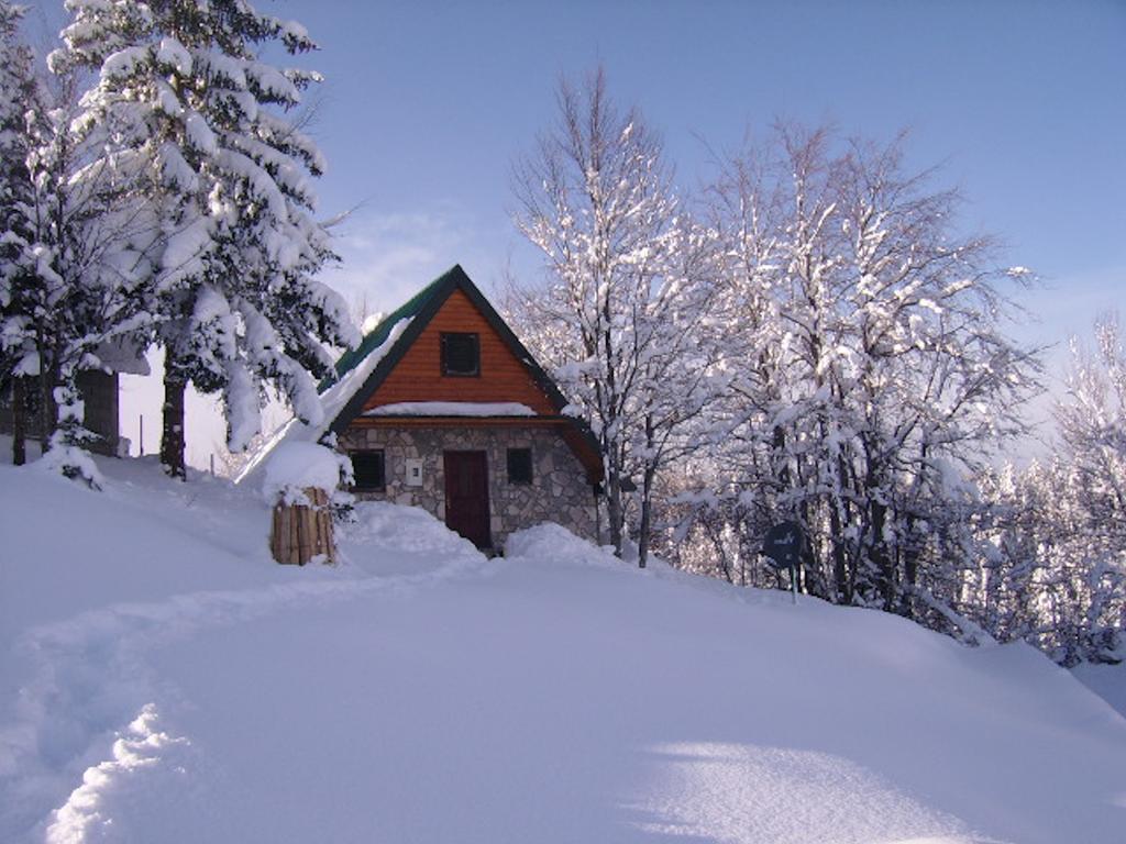 Durmitor Bungalows Žabljak Eksteriør bilde