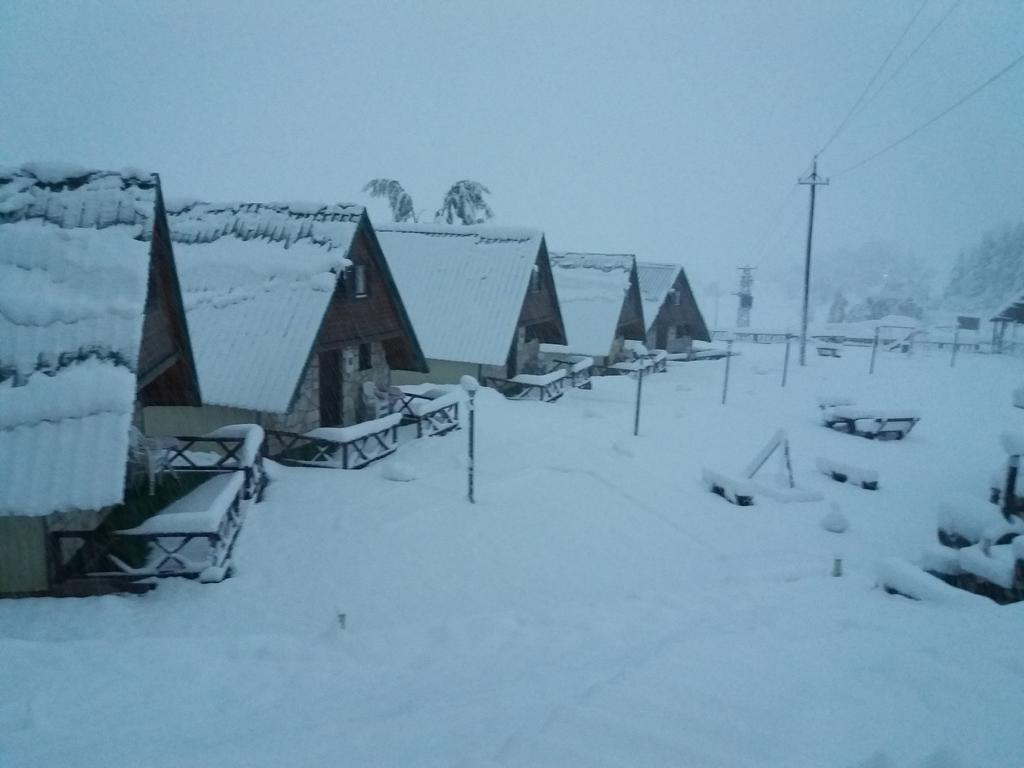 Durmitor Bungalows Žabljak Eksteriør bilde
